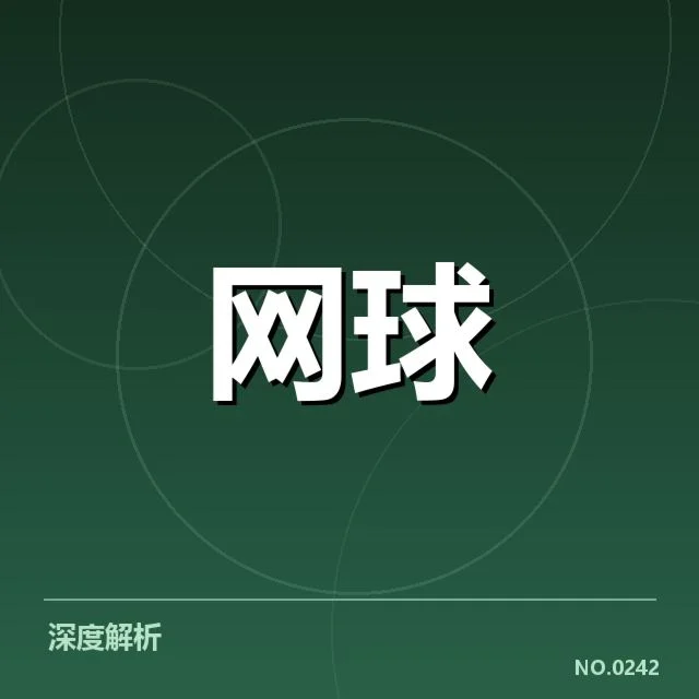 典型崛起代表与现有数据概述
